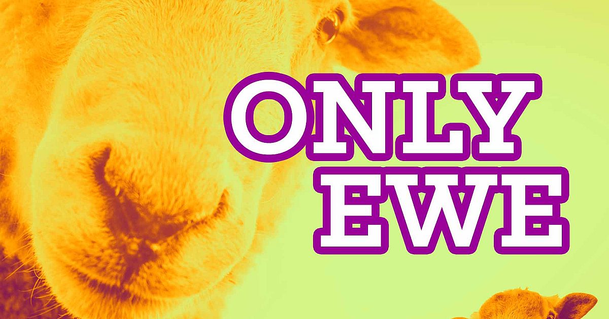Only Ewe
