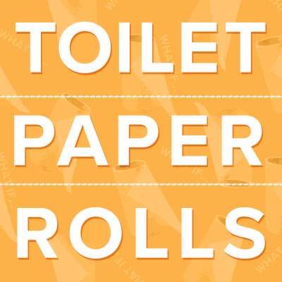 Toilet Paper Rolls