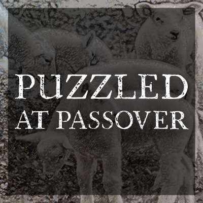 Puzzled at Passover