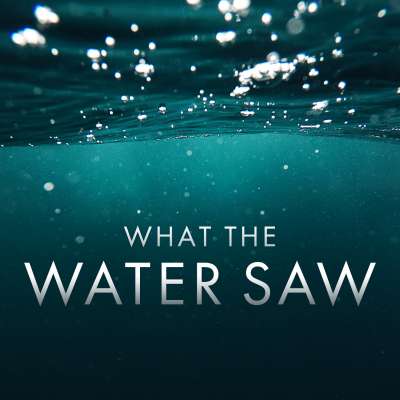 What the Water Saw