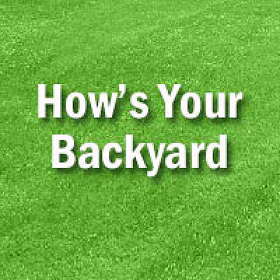 How's Your Backyard?