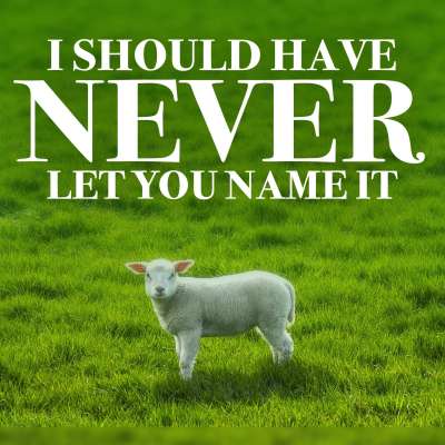 I Should Never Have Let You Name It