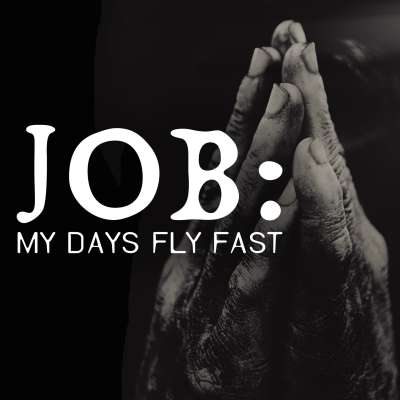 Job: My Days Fly Fast