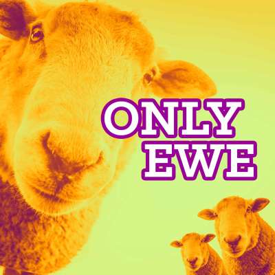 Only Ewe