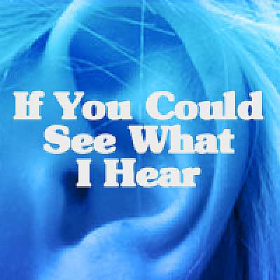 If You Could See What I Hear