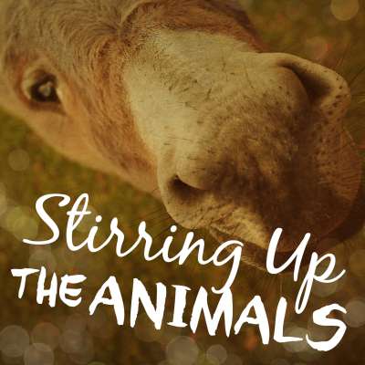 Stirring Up The Animals