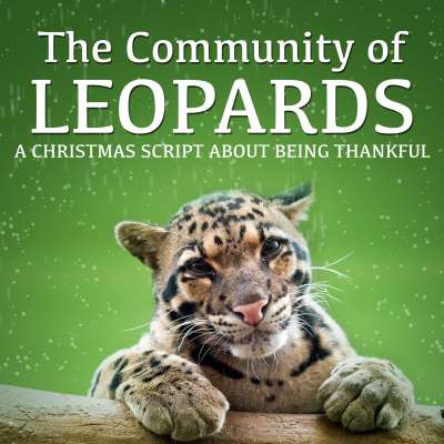 The Community of Leopards