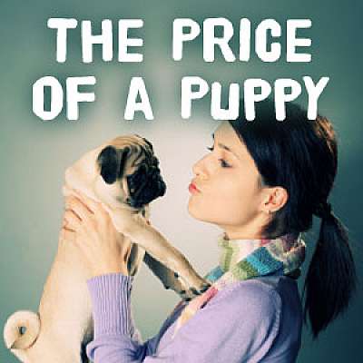 The Price of a Puppy