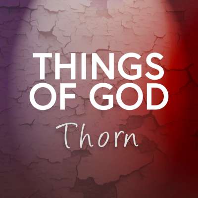 Things of God: Thorn - A Lenten Reading