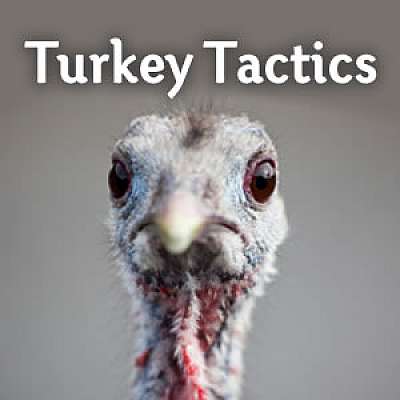 Turkey Tactics