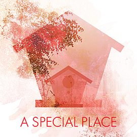 A Special Place