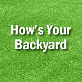 How's Your Backyard?