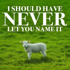 I Should Never Have Let You Name It