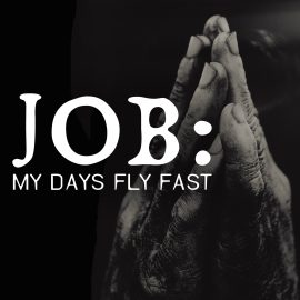 Job: My Days Fly Fast