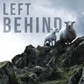 Left Behind