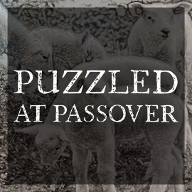Puzzled at Passover