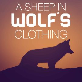 A Sheep in Wolf's Clothing