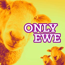 Only Ewe