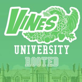 Vines University - Rooted