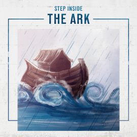 Step Inside the Ark