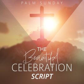 The Beautiful Celebration