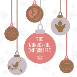 The Wonderful Impossible