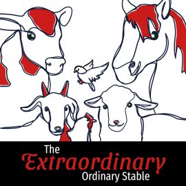 The Extraordinary Ordinary Stable