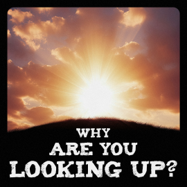 Why Are You Looking Up?