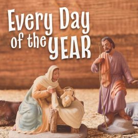 Every Day of the Year