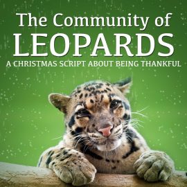 The Community of Leopards