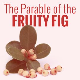 The Parable of the Fruity Fig
