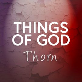 Things of God: Thorn - A Lenten Reading