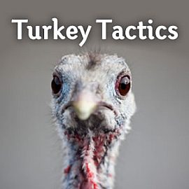 Turkey Tactics